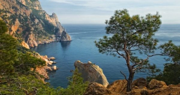 Мыс Айя Мыс Айя на отдыхе в Ласпи