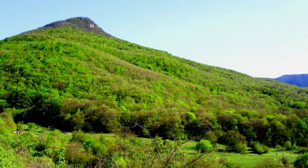 Отдых в гостевом доме Орлиного